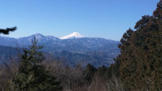 IMG_20160211_101021.jpg