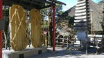 pic_1451784077352.jpg