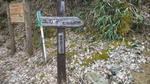 pic_1457132597826.jpg