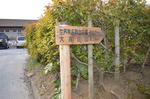 DSC_0815ogose.jpg
