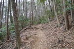 DSC_0821ogose.jpg