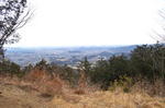 DSC_0823ogose.jpg
