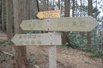 DSC_0825ogose.jpg