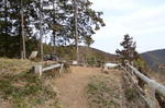 DSC_0829ogose.jpg