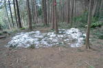 DSC_0839ogose.jpg