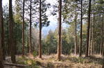DSC_0840ogose.jpg