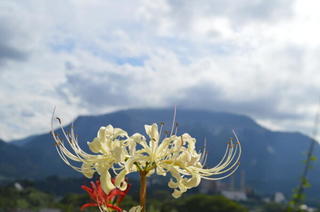 DSC_0896terasaka.jpg