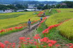 DSC_0922terasaka.jpg