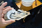 DSC_0961nakaminato.jpg