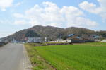 DSC_1158mikamo.jpg