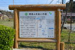 DSC_1178minoyama.jpg