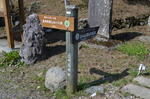 DSC_1196minoyama.jpg