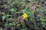 DSC_1207minoyama.jpg