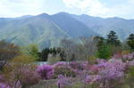 DSC_1406mitsumine.jpg