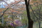 DSC_1435mitsumine.jpg