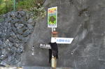 DSC_1458maruyama.jpg