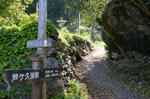 DSC_1459maruyama.jpg