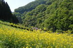 DSC_1461maruyama.jpg