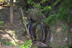 DSC_1466maruyama.jpg