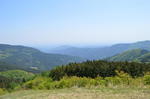 DSC_1469maruyama.jpg
