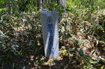 DSC_1479maruyama.jpg
