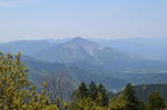 DSC_1488maruyama.jpg