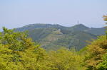 DSC_1499maruyama.jpg