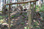 DSC_1512maruyama.jpg