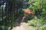 DSC_1521hinatayama.jpg