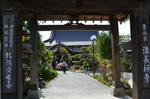 DSC_1532yokoze.jpg