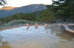 DSC_3134nasu.jpg