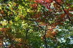 DSC_3136nasu.jpg