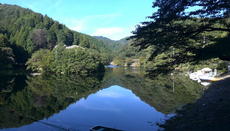 IMG_20130928_081911.jpg