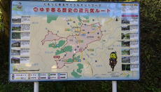 IMG_20130928_082745.jpg