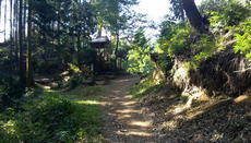 IMG_20130928_085809.jpg
