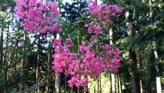 IMG_20130928_090812.jpg