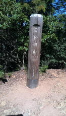IMG_20130928_102302.jpg