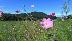 IMG_20130928_122107.jpg