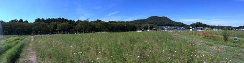 IMG_20130928_122145.jpg