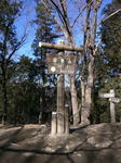 IMG_20150124_103106.jpg