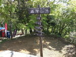 IMG_20150502_084527.jpg