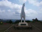 IMG_20150625_100025.jpg