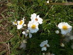 IMG_20150625_123633.jpg