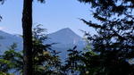IMG_20161015_104929s.jpg