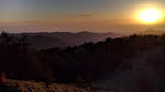 IMG_20161113_062949.jpg