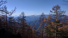 IMG_20161113_081615.jpg