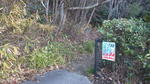 pic_1483053994438.jpg
